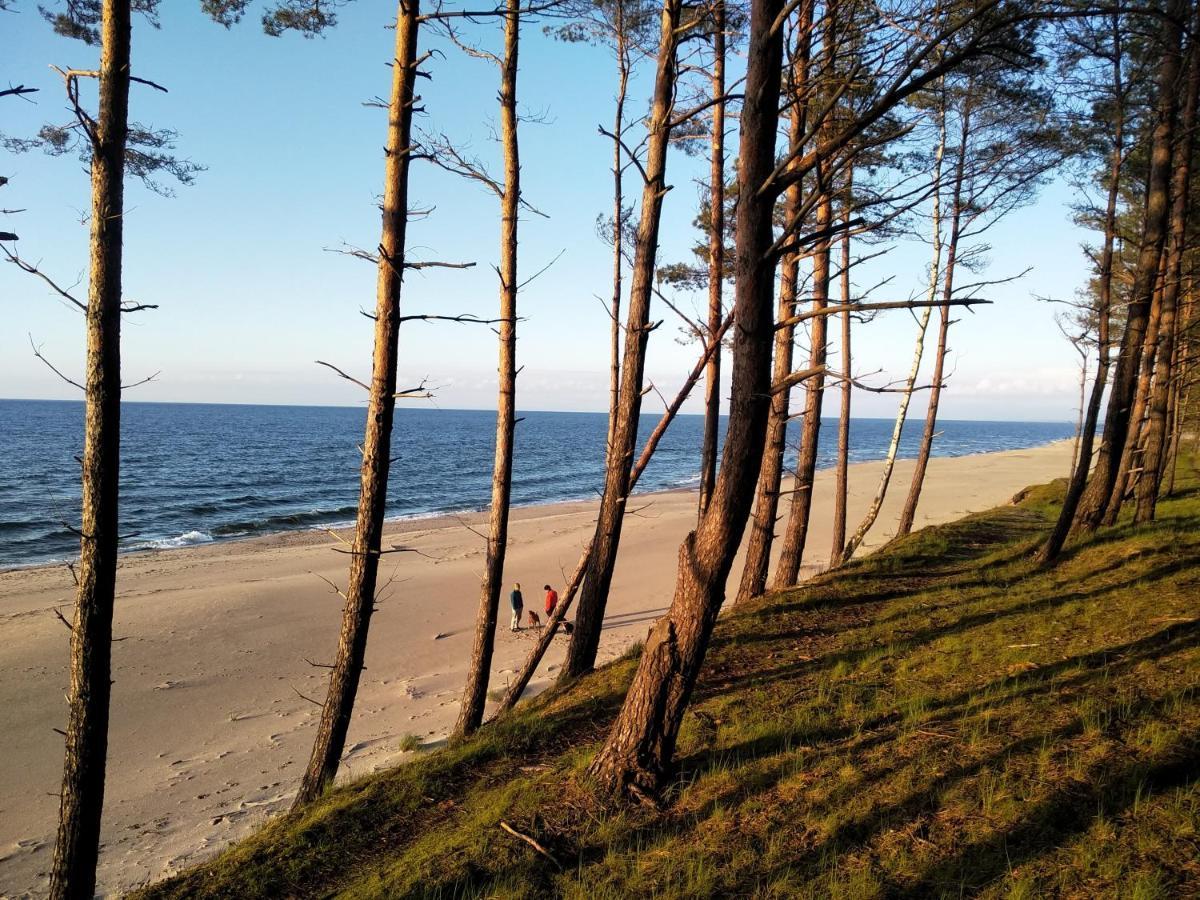 Hotel Bursztynowy Sen Stegna Stegna  Exteriér fotografie